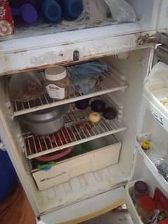 Pel fridge