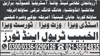 SARAIKI RIDHAM EXPERT DHOLAK WALA REQUIRED