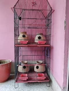 parrot cage