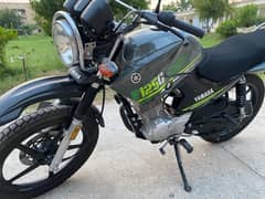 YBR 125 G matt green