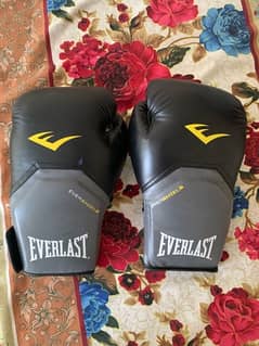 Everlast boxing gloves