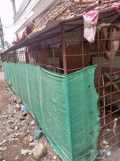 Animal cage for sale