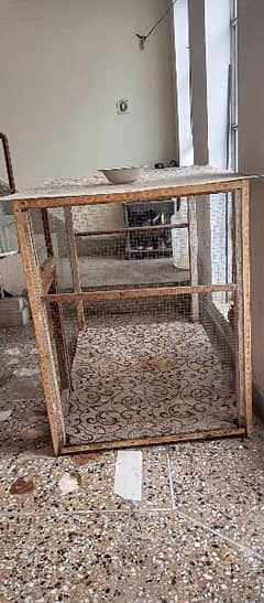 hen  bird' big size cage