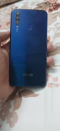 vivo