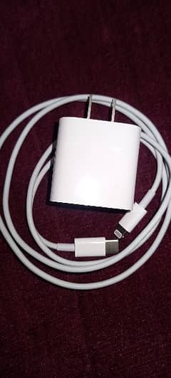 20W iPhone Original Adaptor & Cabel