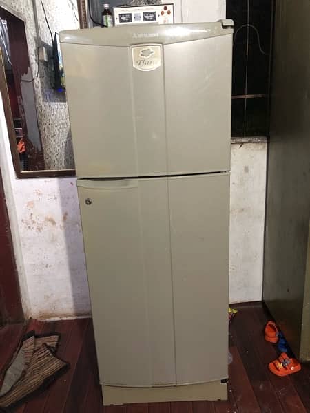 Tiyara refrigerator 1