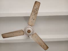 Royal Celling Fan Original Copper