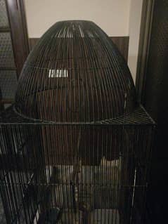 bird cage