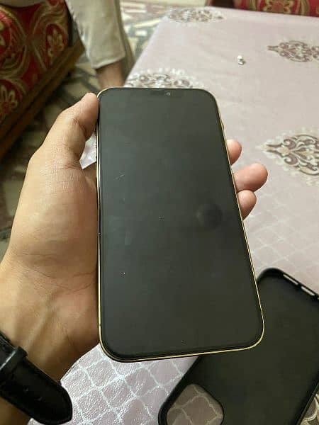 iphone 12 pro max 4