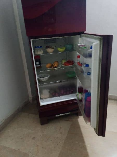 PEL
PEL PRGDI-155 Intello Glass Door Refrigerator 3