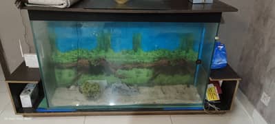 aquarium for sale