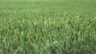 artifical Grass| astro truf | grass carpet | field grass | roof grass