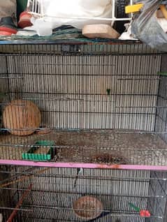 Cage For sale 0