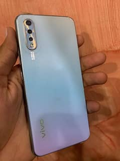 vivo