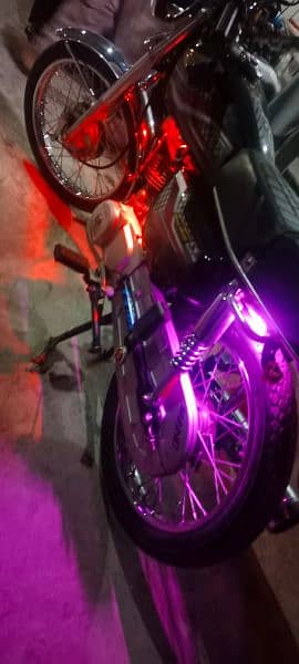 very good condition new bike 1