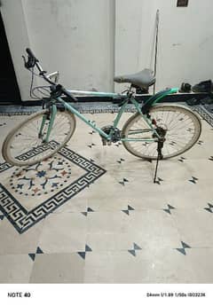 Bicycle for sale 0