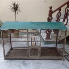 birds cage