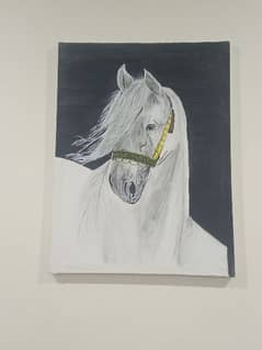 White horse Acrylic painting