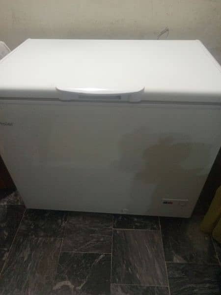 Deaf freezer 3