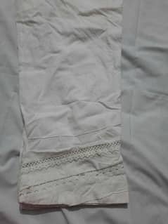 trouser large size ethnic brand