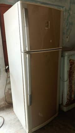 dawlanc fridge