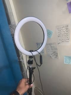 tiktok light