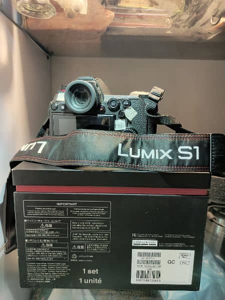 Panasonic S1 Lumix neat and clean 4