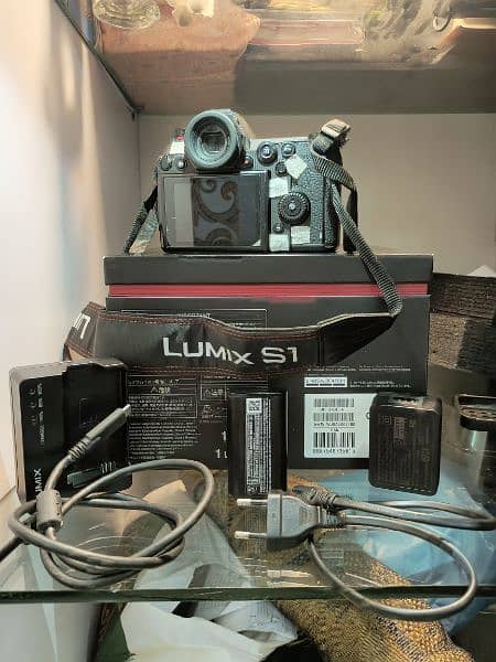 Panasonic S1 Lumix neat and clean 5