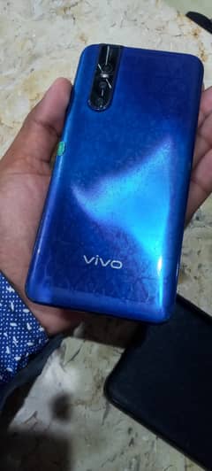 Vivo