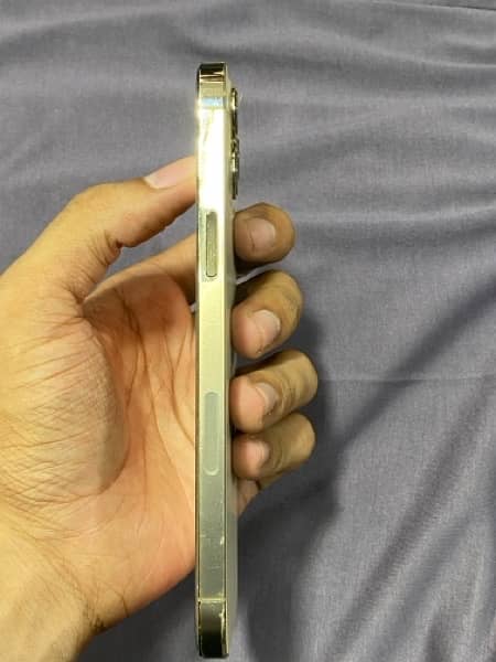 iPhone 12 pro max pta approved 3