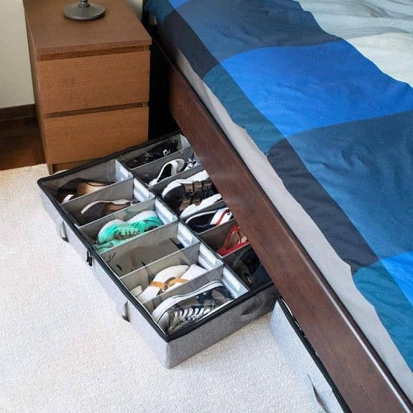 shoe organizer 2