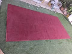 maroon carpet