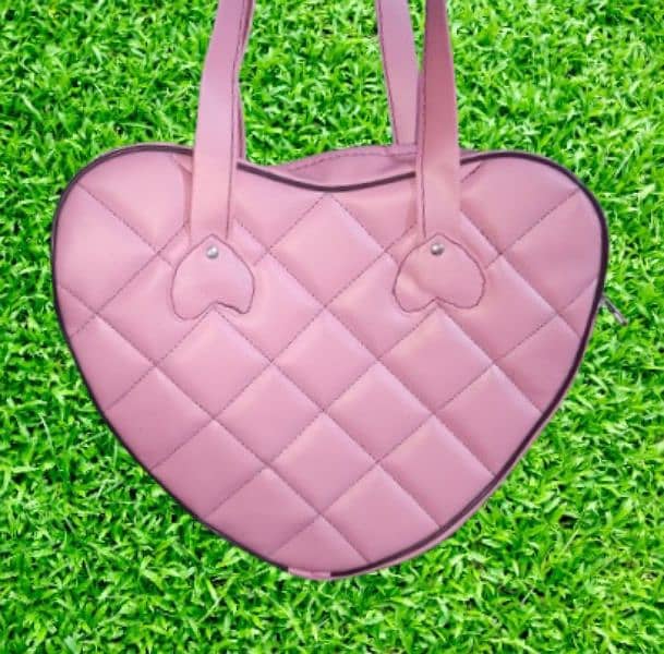 Ladies handbag 6