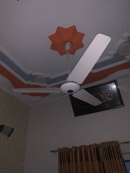 Celling Fans 7