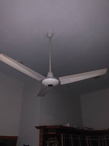 Celling Fans 8