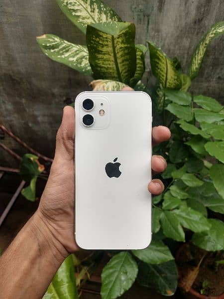 iphone 12 non pta approved 64gb 1