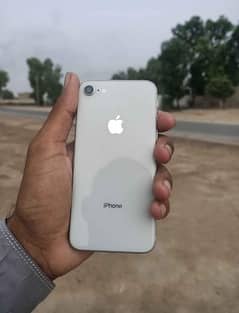 iPhone 8 NONPTA anda piece phone 10/10