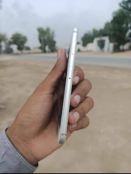 iPhone 8 NONPTA anda piece phone 10/10 3