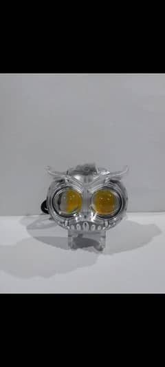 owl