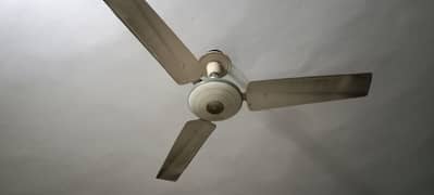 Ceiling fan