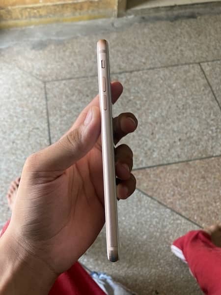 iPhone 8 plus pta approved 4