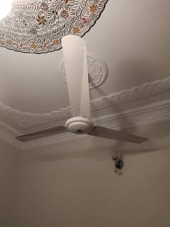 cieling fans