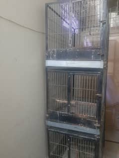 Cage for sale for pahari and grey 0