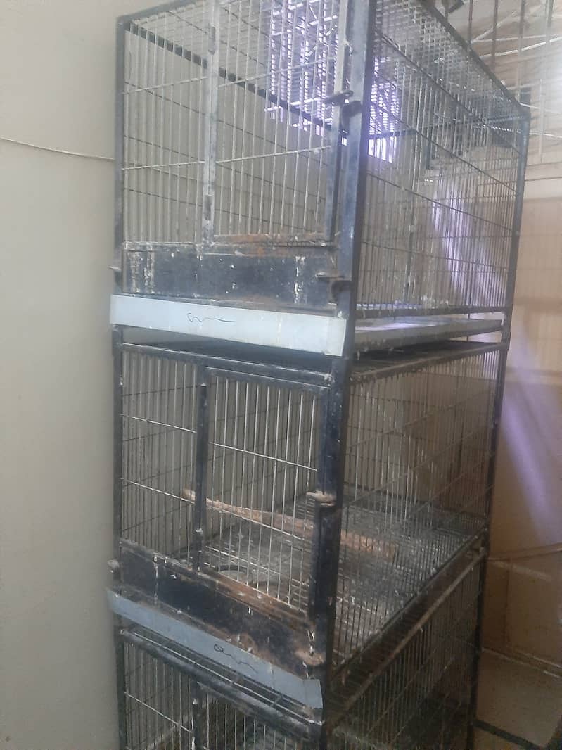 Cage for sale for pahari and grey 2