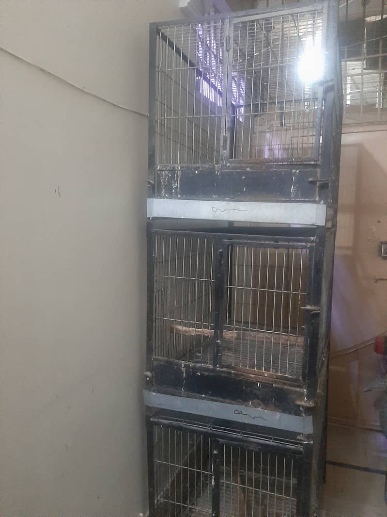 Cage for sale for pahari and grey 4