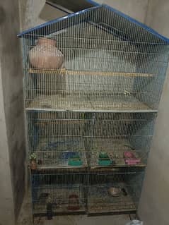 4 Cages and Some Birds