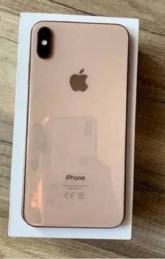 Xs Max 256 Gb