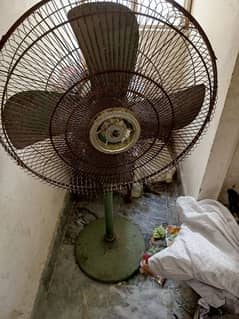 Pedestal Fan