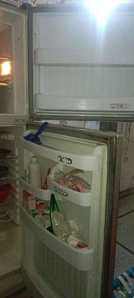 ORIENT CROMATIC Refrigerator 2