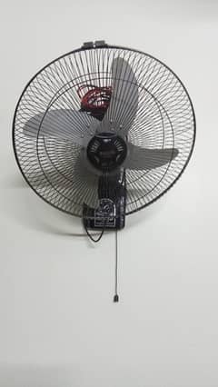 fan